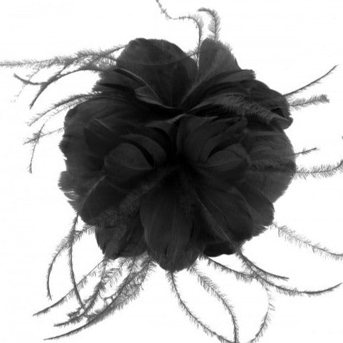 Failsworth Black Fascinator on Clip - Main Image